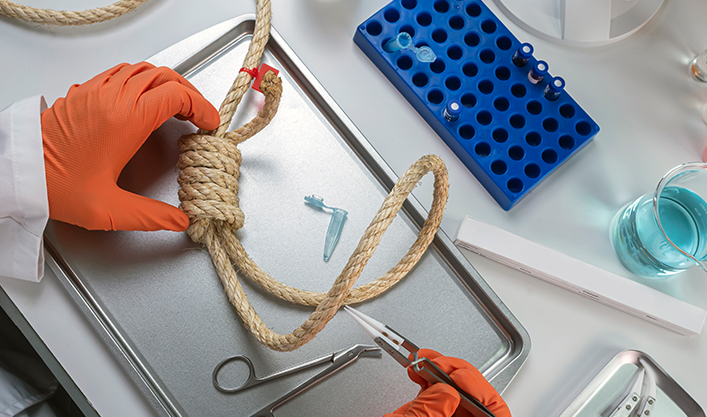 Jiangsu Haifeng Rope Technology Co.,Ltd.