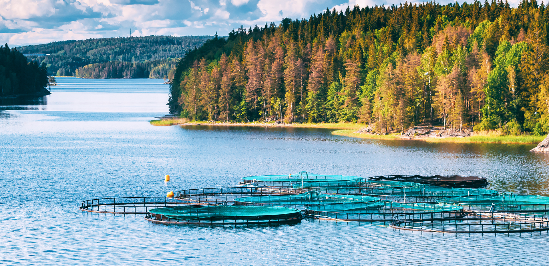 Fisheries and Aquaculture